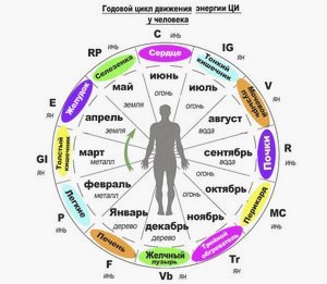Восточная медицина () Восточная медицина