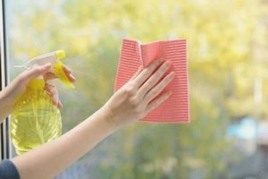 Чем помыть окна: выбираем подходящий инструмент () Чем помыть окна: выбираем подходящий инструмент