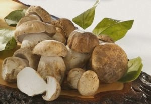 Как приготовить суп грибной с плавлеными сырками: лучший рецепт