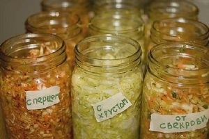 Хрустящая квашеная капуста: тонкости закваски () Хрустящая квашеная капуста: тонкости закваски