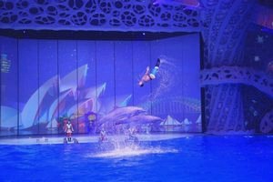 Константин Хабенский, Дарья Мороз, Валерия Гай Германика побывали на премьере мюзикла «Вокруг света за Новый год» () Константин Хабенский, Дарья Мороз, Валерия Гай Германика побывали на премьере мюзикла «Вокруг света за Новый год»