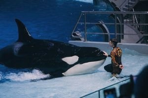 Константин Хабенский, Дарья Мороз, Валерия Гай Германика побывали на премьере мюзикла «Вокруг света за Новый год» () Константин Хабенский, Дарья Мороз, Валерия Гай Германика побывали на премьере мюзикла «Вокруг света за Новый год»