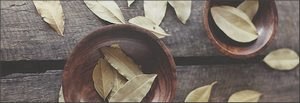 Носогубные складки: как убрать в домашних условиях () Носогубные складки: как убрать в домашних условиях